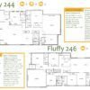 Fluffy 244 & 246